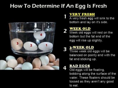 How to determine if an egg is fresh step by step DIY tutorial instructions