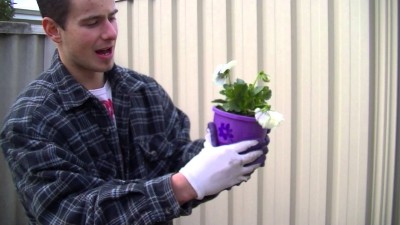 How to plant pretty flowers step by step DIY tutorial instructions