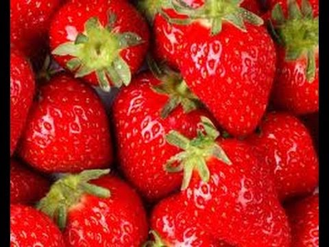 How to grow delicious hydroponic Strawberries step by step DIY tutorial instructions