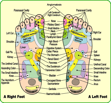 How to give a foot massage step 1 - understand foot reflexology chart for acupressure or acupuncture remedies