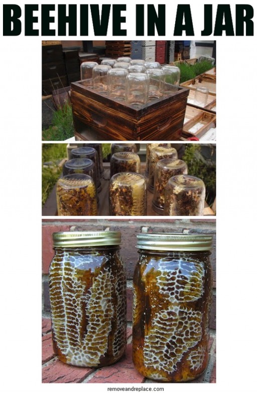 How to make a beehive in a jar for honey step by step DIY tutorial instructions