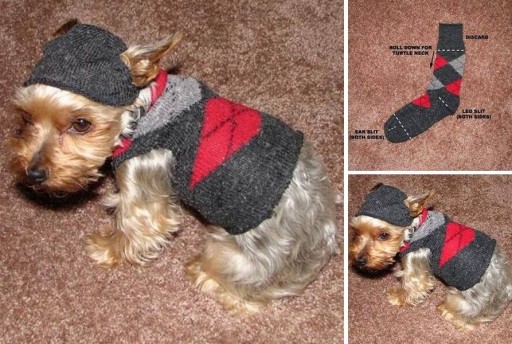 How to make cute pet cloth with a sock step by step DIY tutorial instructions