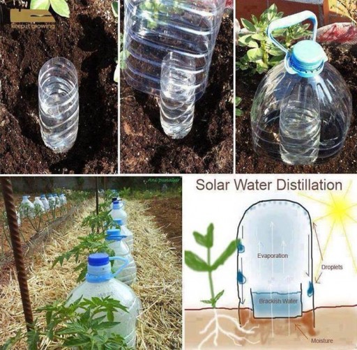 How to make simple solar water distillation system step by step DIY tutorial instructions