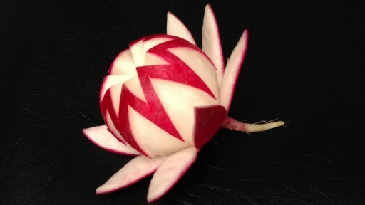 How to carve simple radish waratah flower step by step DIY tutorial instructions