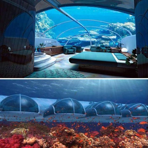 marvellous under sea hotel room picture