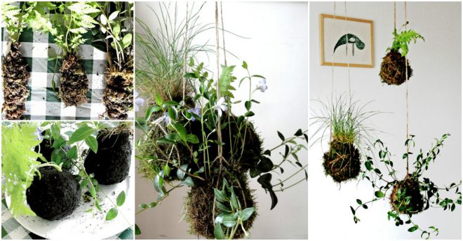how-to-make-cute-diy-kokedama-string-hanging-garden