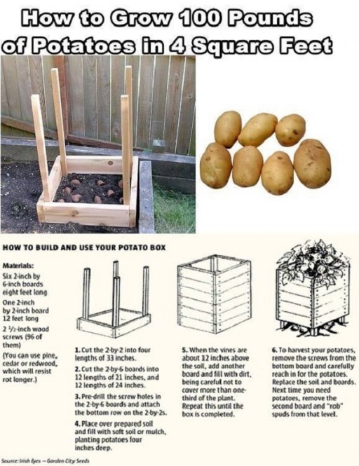 potatoes grow square feet 100 diy pounds instructions step tutorial potato growing planting gardening ft lbs box planter projects small