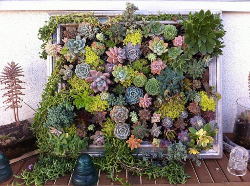 How to plant beautiful DIY framed vertical succulent garden living art step by step tutorial instructions