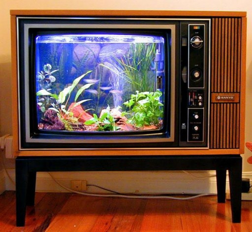 How to turn an old TV into an fish tank