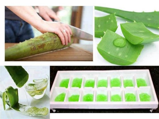 40 amazing uses for aloe vera
