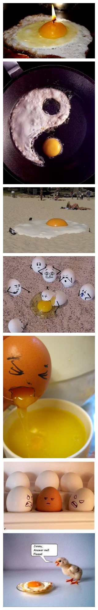 Arts of fried egg 3
