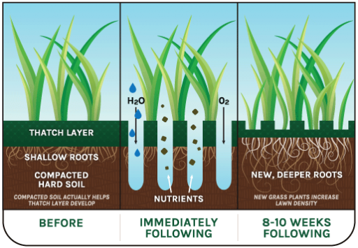 How to aerate lawn
