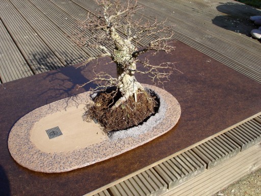 How to make DIY baggins bonsai hobbit home 10