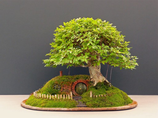How to make DIY baggins bonsai hobbit home 8