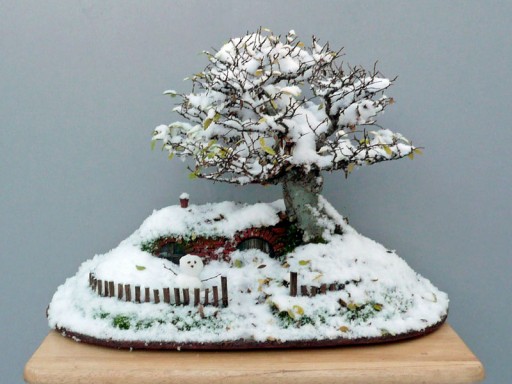 How to make DIY baggins bonsai hobbit home 9