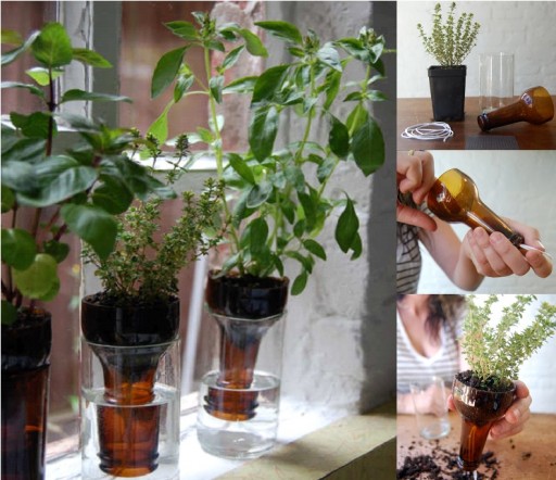 How To Make Bottle Herb Garden Step By Step DIY Tutorial Instructions