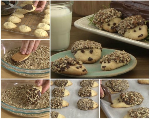 Culinary School - How To Make Hedgehog Cookies Step By Step DIY Tutorial Instructions