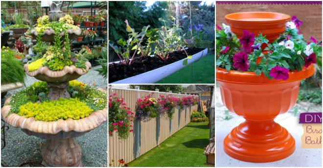 Garden Projects Anyone Can Make