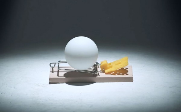 Ping Pong Ball Mouse Trap 3