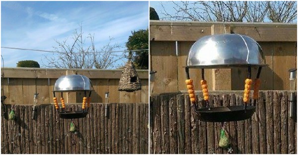 DIY Bird Feeder Made From Recycled Materials