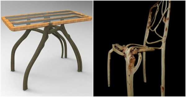 Full Grown Grow TREES Into Stunning Furniture 2