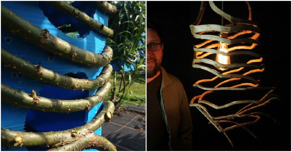 Full Grown Grow TREES Into Stunning Furniture 4