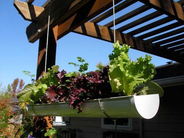 How To Make Hanging Gutter Vertical Garden 13