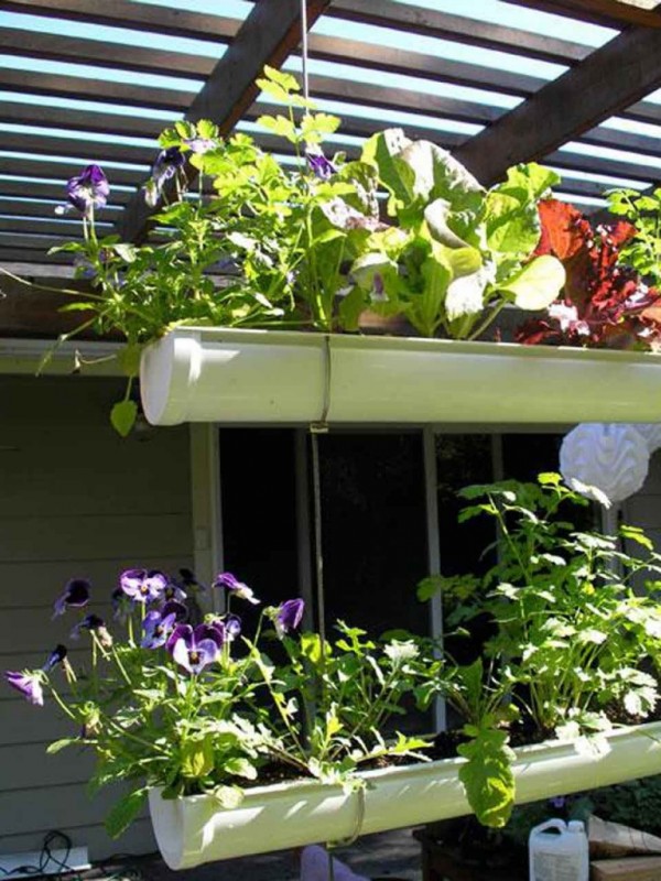 How To Make Hanging Gutter Vertical Garden 14