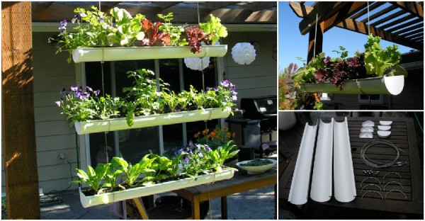 How To Make Hanging Gutter Vertical Garden