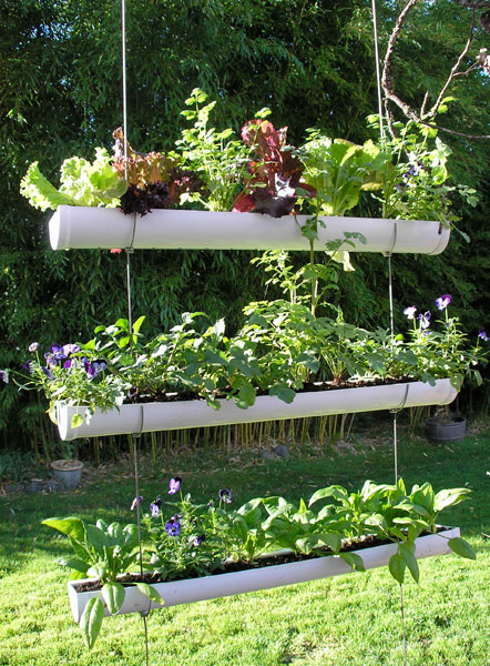 How To Make Hanging Gutter Vertical Garden 9