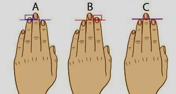 Your Finger Length Reveals Your Personality