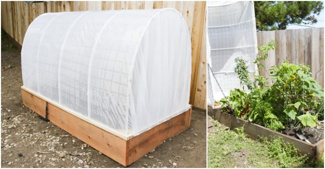 diy-removable-greenhouse-cover