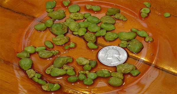 Liver Cleanse How To Get Rid Of Liver Stones Safely In 24 Hours