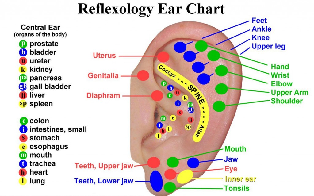 Reflexology - DIY Guide To Boost Up Health And Keep Doctors Away 1