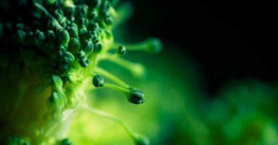 Broccoli Watercress Can Kill Cancer Cells Within A Day 1