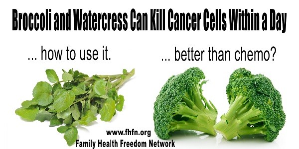 Broccoli Watercress Can Kill Cancer Cells Within A Day