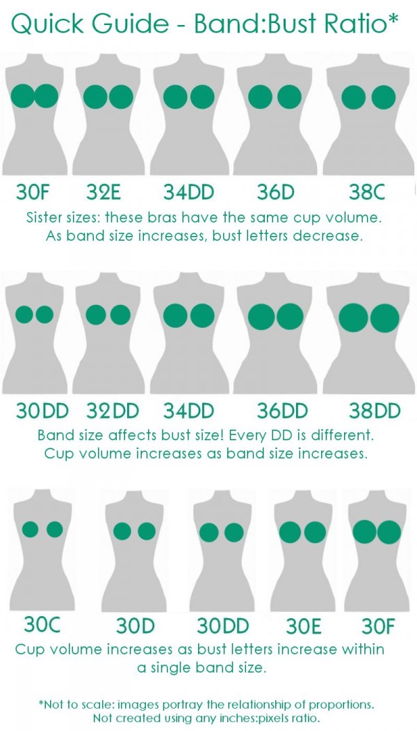 Everything You Need To Know About Bras 4