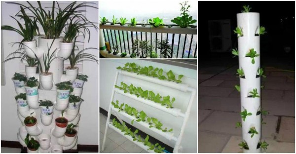 Gardening With PVC Tubes 3