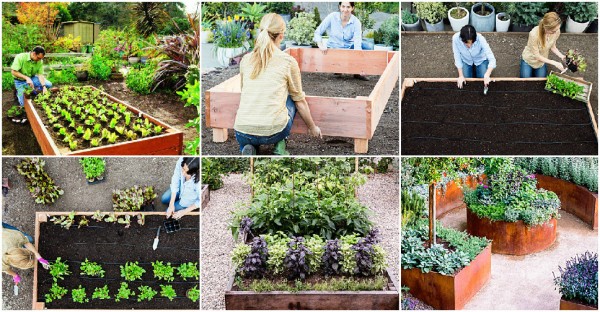 How To Build Raised Garden Beds