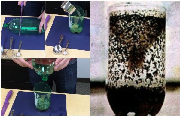 How To Get Rid Of Mosquitoes 1