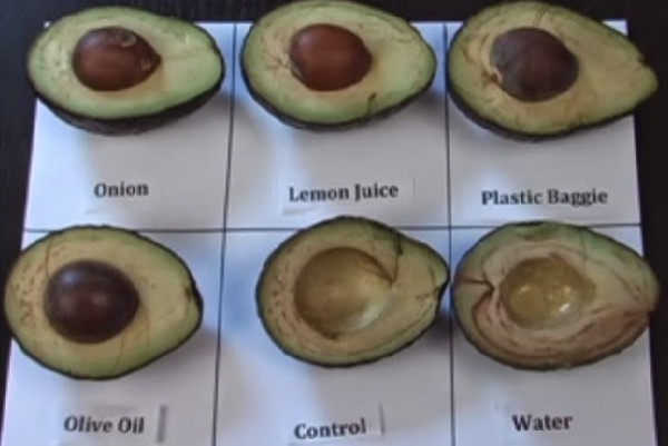 How To Keep Avocados Fresh