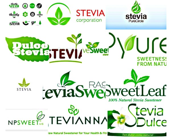 Stevia Helps Quit Smoking And Lose Weight 1