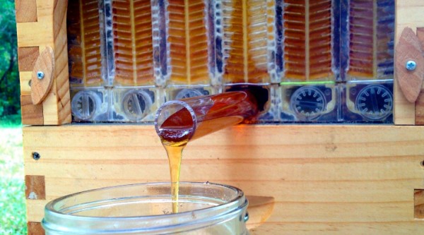 DIY Honey Tap