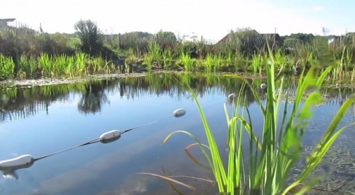 How To Build A Natural Swimming Pool 2