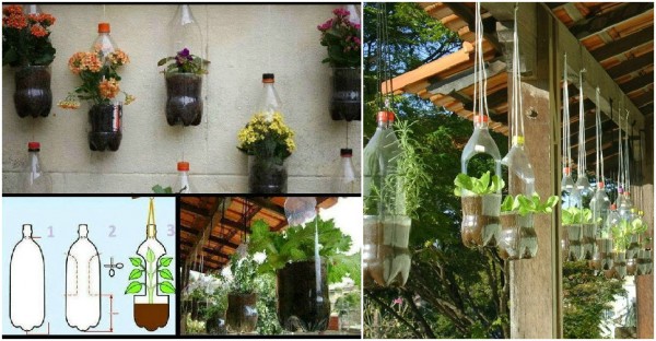 How To Make Plastic Bottle Planters