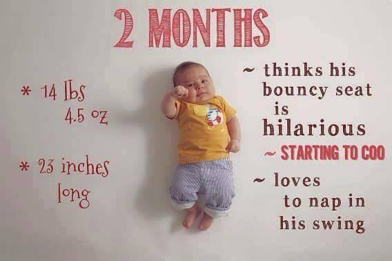 Baby Growth Chart 2