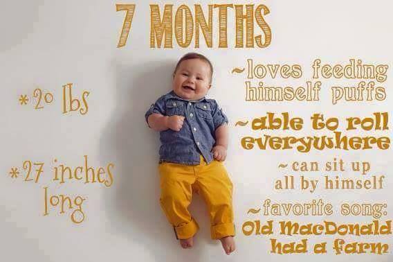 Baby Growth Chart 7