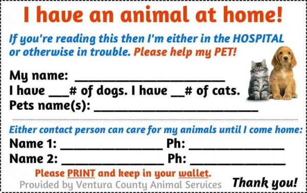 Pet Emergency Wallet Card 2