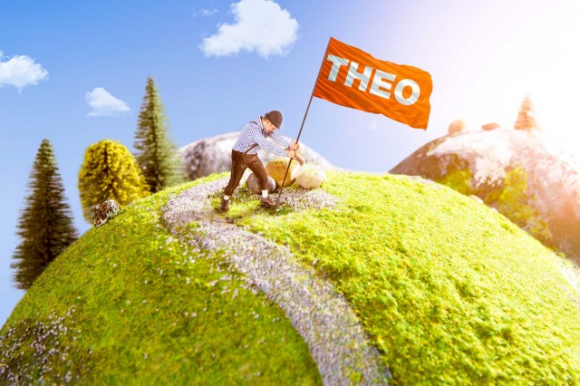 Awesome Way To Announce Pregnancy - Flag