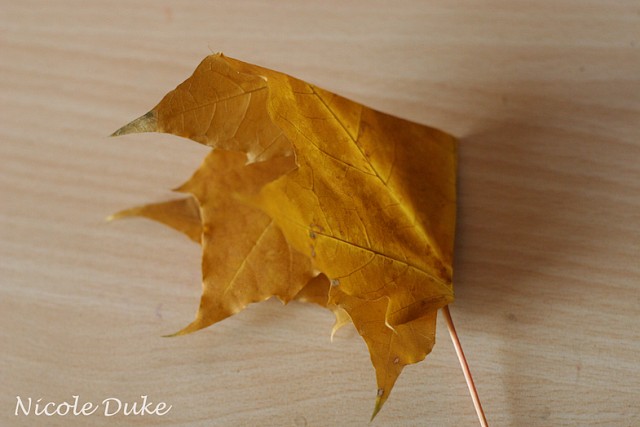 How To Make Maple Leaf Roses 2